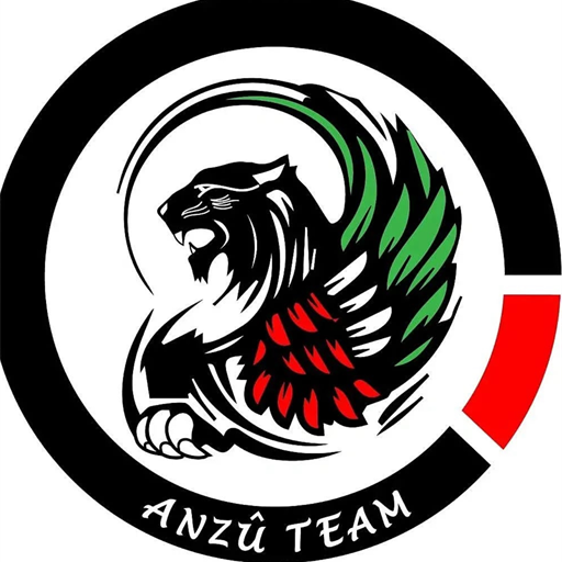 نشان تیم آنزو